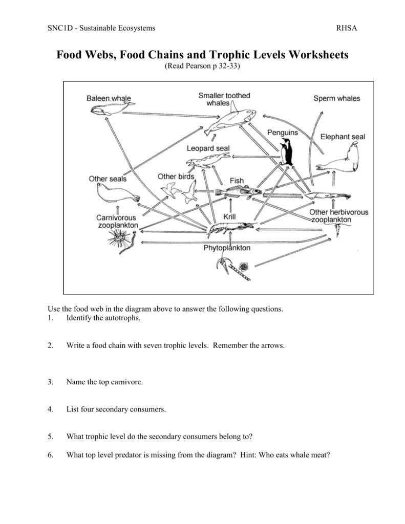 02 Food Webs Chains Trophic Levels Ws — Db-Excel intended for Food Chains And Webs Worksheet