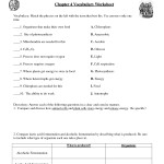 10++ Photosynthesis And Cellular Respiration Worksheets – Coo Worksheets Pertaining To Photosynthesis And Respiration Worksheet