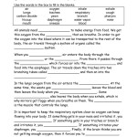 10++ Respiratory System Worksheet Answer Key – Worksheets Decoomo Throughout Respiratory System Worksheet Answer Key