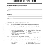 13 Prokaryotic Vs Eukaryotic Cells Worksheet / Worksheeto Pertaining To Prokaryotes Vs Eukaryotes Worksheet