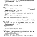 14 Viruses And Bacteria Worksheets / Worksheeto Intended For Virus And Bacteria Worksheet Key