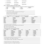 16 Scientific Classification Worksheet / Worksheeto In Biological Classification Worksheet Answers