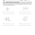 17 Carbohydrates Worksheet Student / Worksheeto Pertaining To Macromolecules Worksheet High School