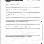 17 Monohybrid Cross Worksheet Answers / Worksheeto throughout Monohybrid Cross Worksheet Answers