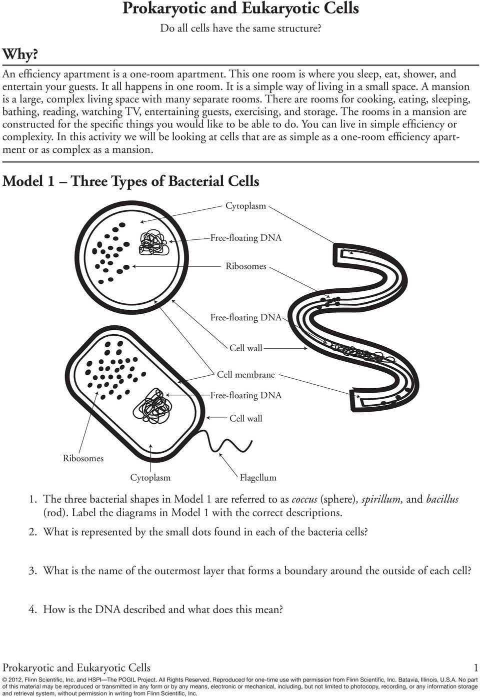 20 Prokaryote Coloring And Worksheet Answers | Worksheet From Home Pertaining To Prokaryotes Bacteria Worksheet Answers
