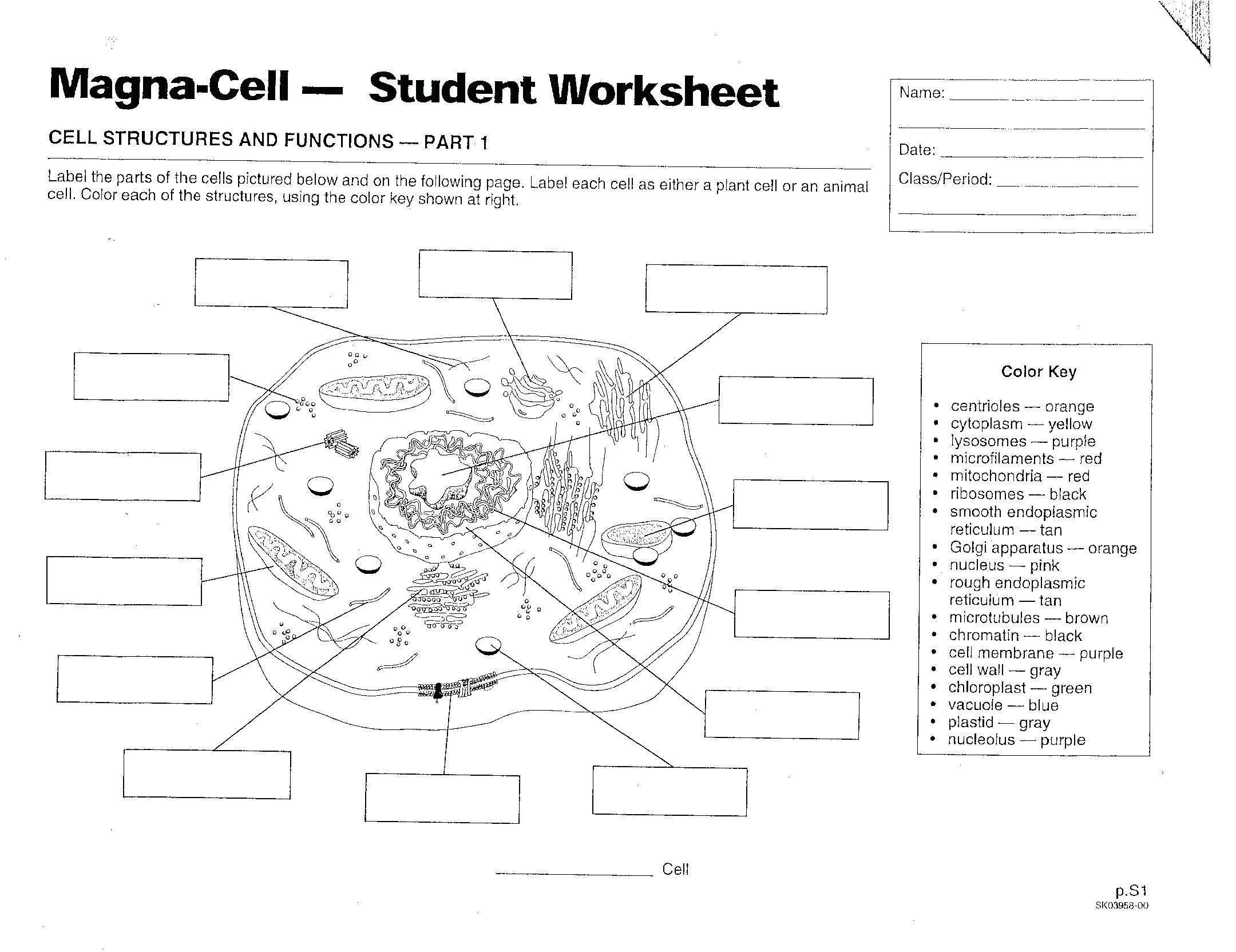 20 Prokaryote Coloring And Worksheet Answers | Worksheet From Home regarding Prokaryotic And Eukaryotic Cells Worksheet