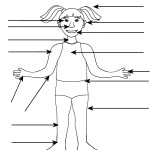 20++ Spanish Worksheets Body Parts - Coo Worksheets with Body Parts In Spanish Worksheet