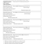 26 Dna Mutations Practice Worksheet Answers – Worksheet Information In Dna Mutations Practice Worksheet Answers