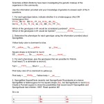 27 Bikini Bottom Genetics Worksheet Answer Key - Notutahituq Worksheet Information throughout Genetics Worksheet Answer Key