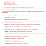 29 Cell Structure And Function Skills Worksheet – Support Worksheet With Regard To Cell Organelles Worksheet Answer Key