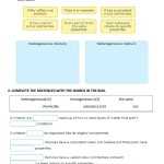 29 Matter Substances Vs Mixtures Worksheet – Worksheet Information Pertaining To Elements Compounds Amp Mixtures Worksheet