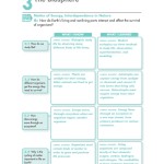 3.3 Energy Flow In Ecosystems Worksheets Answer Key with regard to Energy Flow In Ecosystems Worksheet