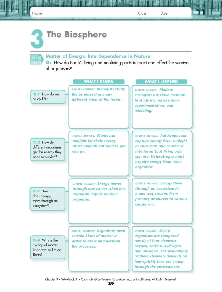 3.3 Energy Flow In Ecosystems Worksheets Answer Key with regard to Energy Flow In Ecosystems Worksheet