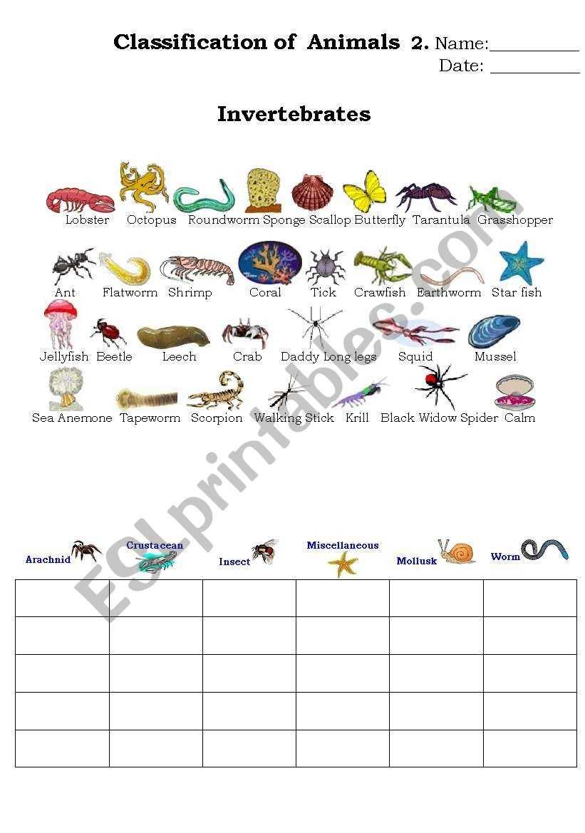 30 Animal Classification Worksheet Pdf | Education Template With Regard To Animal Classification Worksheet Pdf