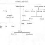 30 Basic Cooking Terms Worksheet Answers | Education Template Within Basic Cooking Terms Worksheet Answers