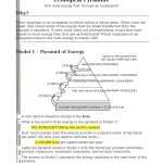 30 Bill Nye Food Web Worksheet | Education Template in Bill Nye Food Web Worksheet