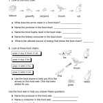 30 Bill Nye Food Web Worksheet | Education Template With Food Web Worksheet Pdf
