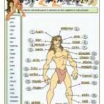 30 Body Parts In Spanish Worksheet | Education Template Pertaining To Spanish Body Parts Worksheet