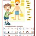 30 Body Parts In Spanish Worksheet | Education Template Regarding Spanish Body Parts Worksheet