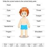 30 Body Parts In Spanish Worksheet | Education Template With Regard To Body Parts In Spanish Worksheet