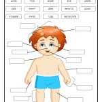 30 Body Parts In Spanish Worksheet | Education Template With Regard To Spanish Body Parts Worksheet