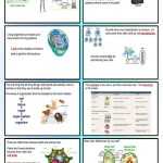 30 Cell City Analogy Worksheet Answers | Education Template For Cell City Analogy Worksheet Answers