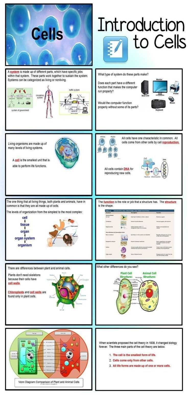 30 Cell City Analogy Worksheet Answers | Education Template For Cell City Analogy Worksheet Answers