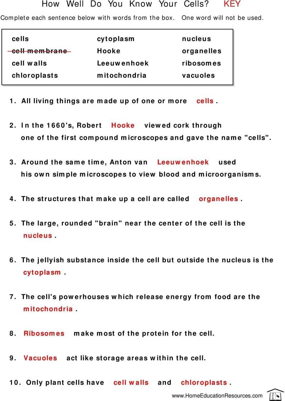 30 Cell City Analogy Worksheet Answers | Education Template Regarding Cell City Analogy Worksheet