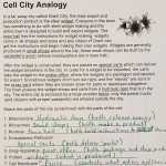 30 Cell City Analogy Worksheet | Education Template Within Cell City Analogy Worksheet
