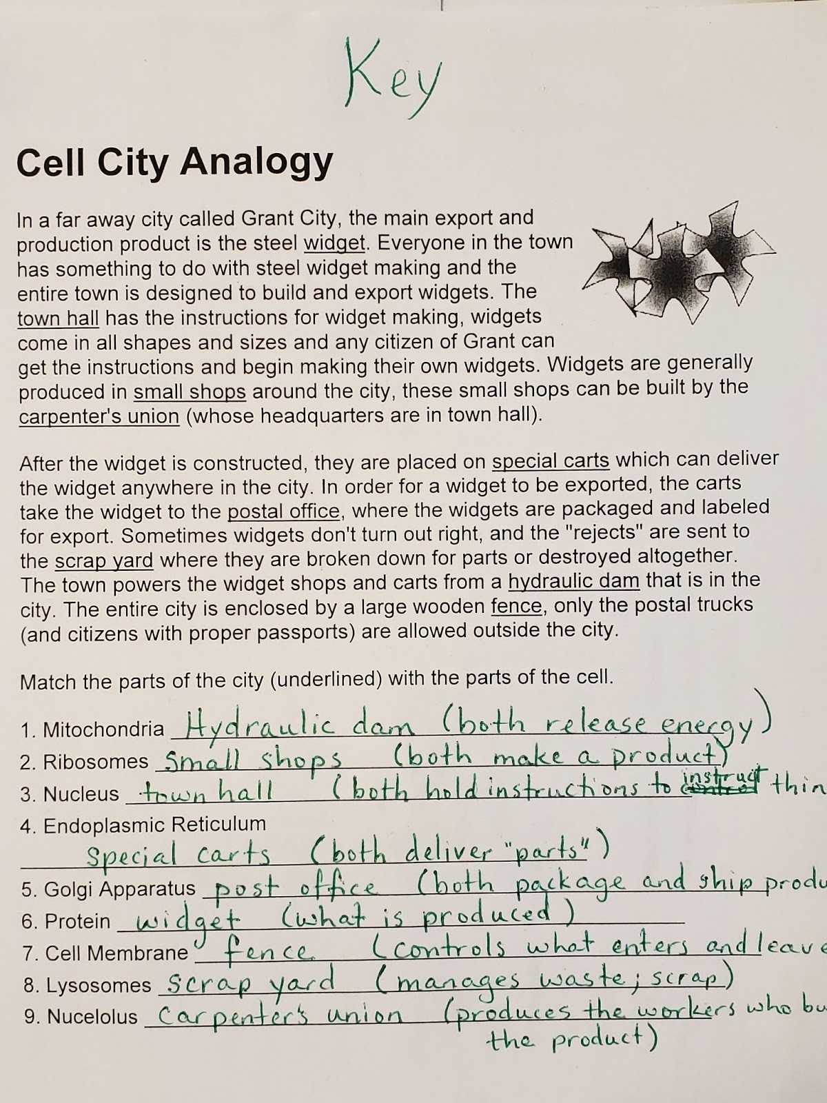 30 Cell City Analogy Worksheet | Education Template Within Cell City Analogy Worksheet