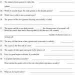 30 Cell Reproduction Worksheet Answers | Education Template Intended For Cell Reproduction Worksheet Answers