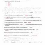 30 Cellular Transport Worksheet Answers | Education Template Intended For Cell Transport Worksheet Biology Answers