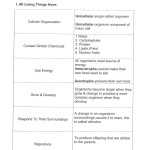 30 Characteristics Of Life Worksheet Answers | Education Template Intended For Characteristics Of Life Worksheet