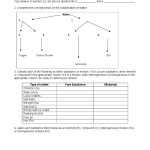 30 Classification Of Matter Worksheet | Education Template Pertaining To Classification Of Matter Worksheet
