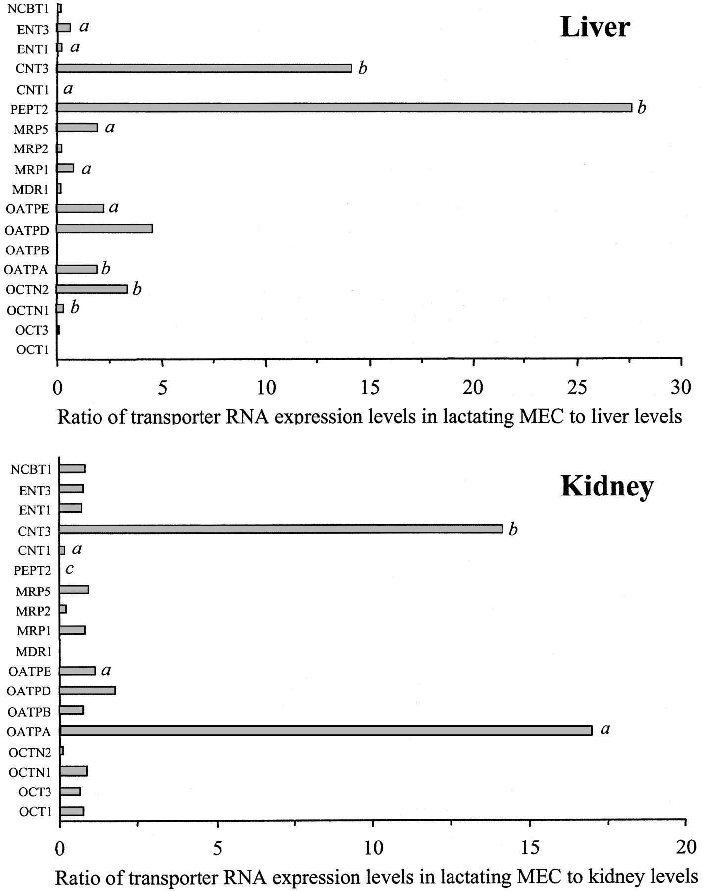 30 Dna Replication Review Worksheet | Education Template pertaining to Dna Replication Review Worksheet