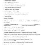 30 Dna Replication Review Worksheet | Education Template Within Dna Replication Review Worksheet