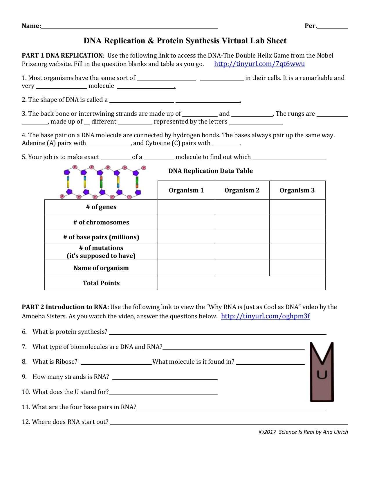 30 Dna Replication Worksheet Answer Key | Education Template Throughout Dna Replication Worksheet Key