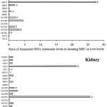 30 Dna Transcription And Translation Worksheet | Education Template For Dna Transcription And Translation Worksheet