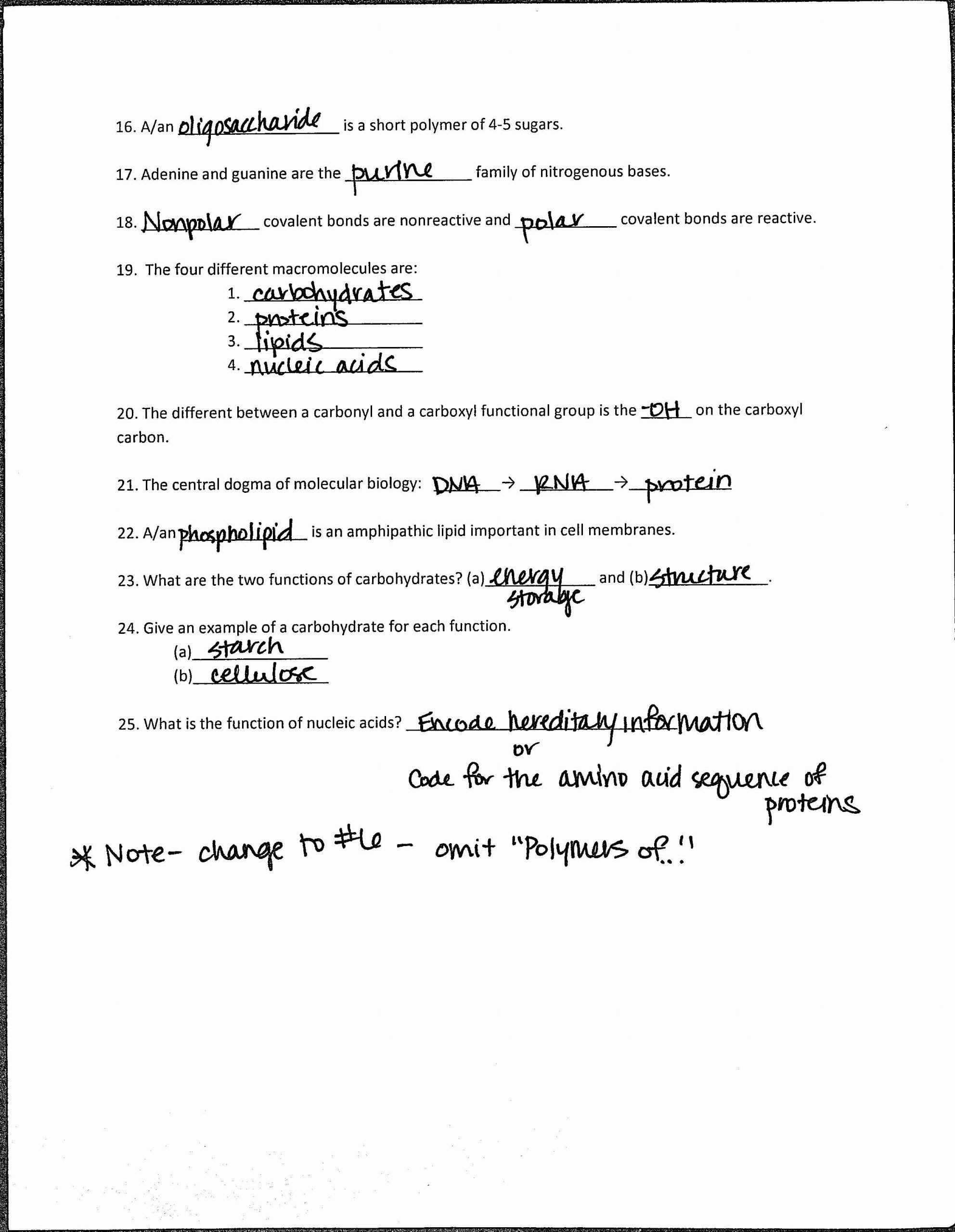 30 Ecological Succession Worksheet Answer Key | Education Template intended for Ecological Succession Worksheet Answer Key