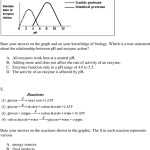 30 Enzymes Worksheet Answer Key | Education Template Intended For Enzyme Review Worksheet Answers