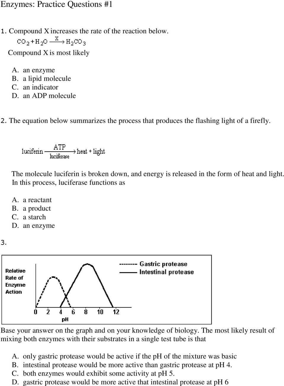 30 Enzymes Worksheet Answer Key | Education Template With Regard To Enzyme Review Worksheet Answers