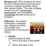 30 Evidence For Evolution Worksheet Answers | Education Template With Regard To Evidence For Evolution Worksheet Answers