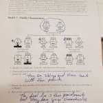 30 Evidence Of Evolution Worksheet Answers | Education Template Inside Evidence Of Evolution Worksheet Answers