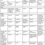 30 Families Of Functions Worksheet | Education Template in Families Of Functions Worksheet