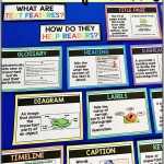 30 Fiction Vs Nonfiction Worksheet | Education Template In Fiction Vs Nonfiction Worksheet