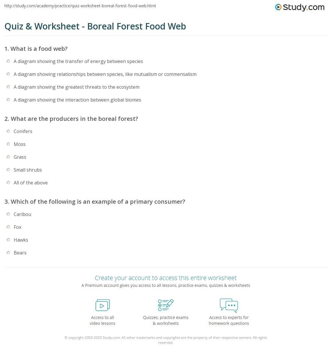 30 Food Chain Worksheet Answers | Education Template Throughout Food Chain Worksheet Answers