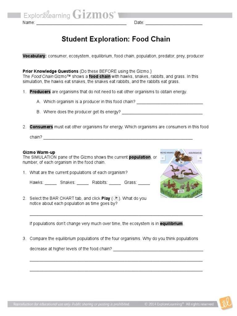 30 Food Chain Worksheet Answers | Education Template Within Food Chain Worksheet Answers