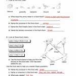 30 Food Web Worksheet Answer Key | Education Template Inside Food Web Worksheet Answer Key