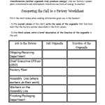 30 Function Of The Organelles Worksheet | Education Template For Function Of The Organelles Worksheet