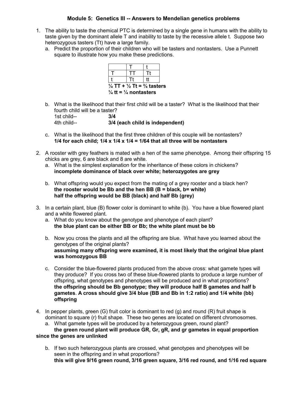 30 Genetics Worksheet Answer Key | Education Template throughout Genetics Problems Worksheet Answer Key